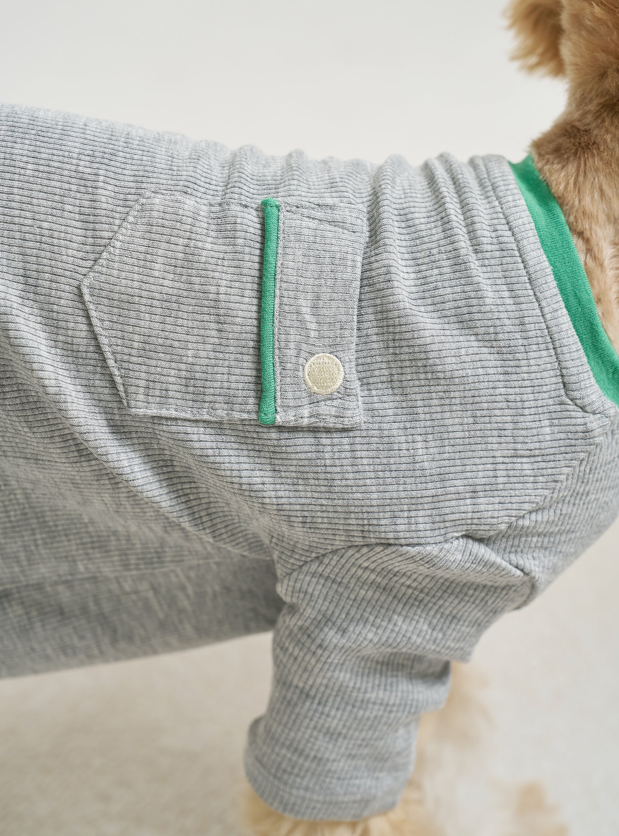 Pet Shirt