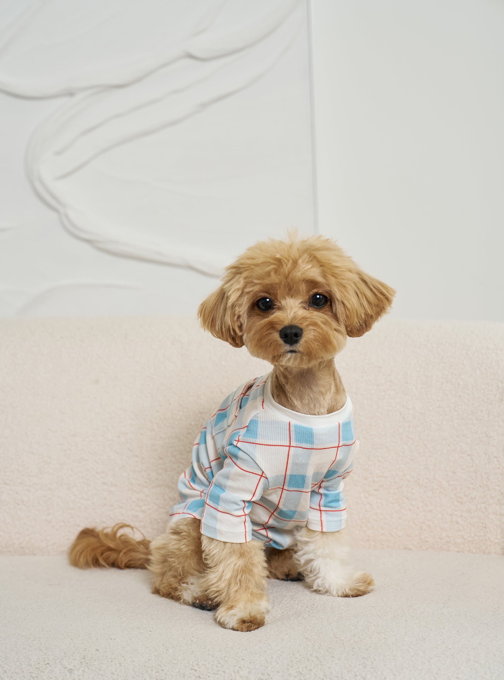 Pet Shirt