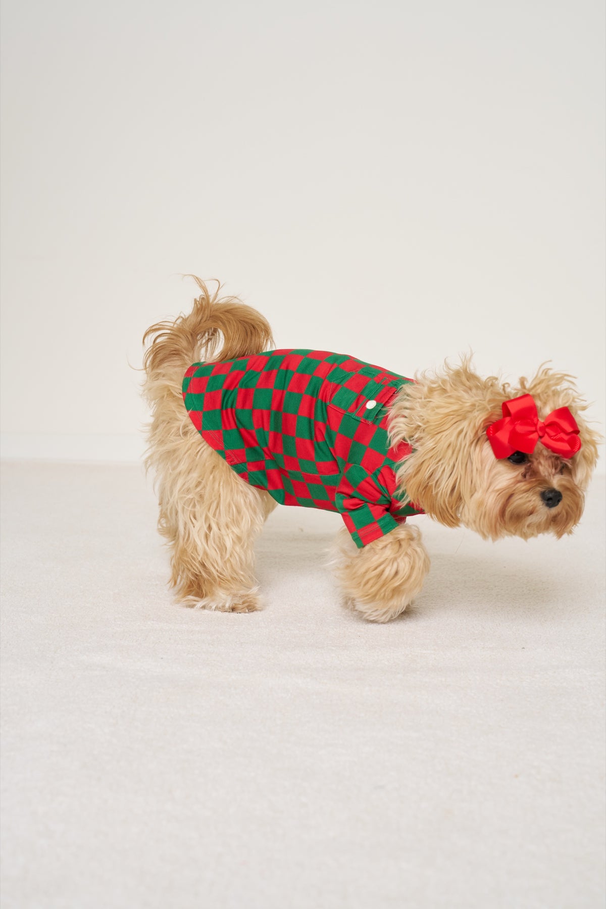 Pet Shirt Christmas - Merry Checkmate TENCEL™ Modal